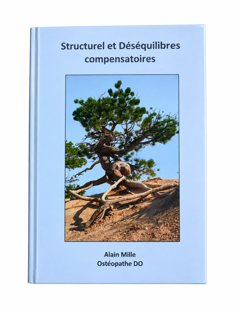 ouvrage écrit par Allain Mille sur les techniques structurelles 